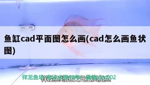 魚缸cad平面圖怎么畫(cad怎么畫魚狀圖)