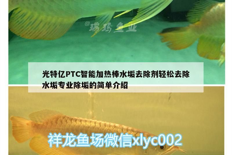 光特億PTC智能加熱棒水垢去除劑輕松去除水垢專業除垢的簡單介紹