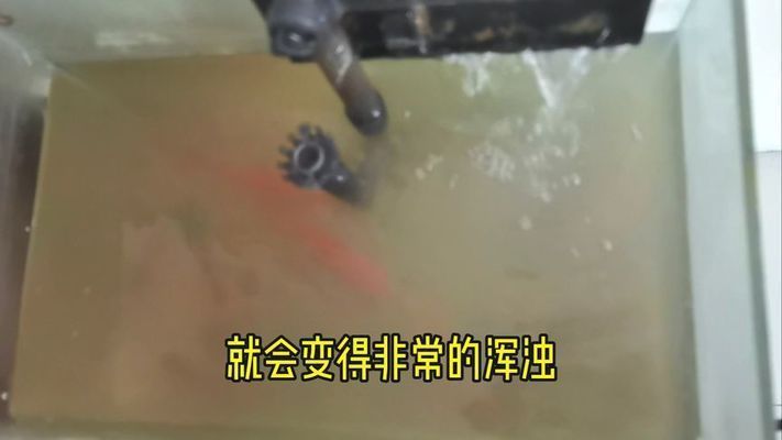 魚缸里的水突然渾濁是什么原因，如何正確使用魚缸凈水劑