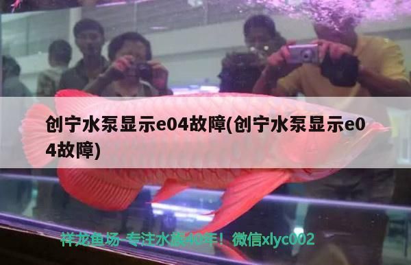 創寧水泵顯示e04故障(創寧水泵顯示e04故障)