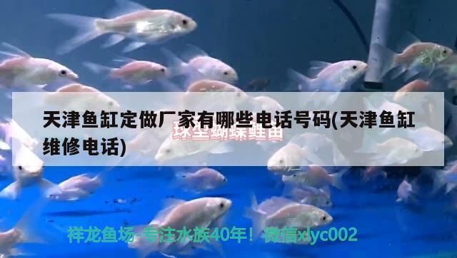 天津魚缸定做廠家有哪些電話號碼(天津魚缸維修電話)