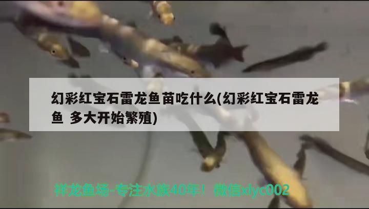 大魚缸漏水怎么辦妙招視頻 大魚缸漏水怎么辦妙招視頻講解 貝因美 第2張 大魚缸漏水怎么辦妙招視頻 大魚缸漏水怎么辦妙招視頻講解 大魚缸漏水怎么辦妙招視頻 大魚缸漏水怎么辦妙招視頻講解 貝因美 第2張
