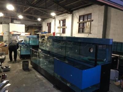 祥龍集團未來發展規劃（祥龍集團制定了一套全面的發展規劃，為股東創造更大的價值）