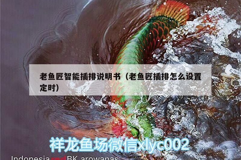 老魚(yú)匠智能插排說(shuō)明書(shū)（老魚(yú)匠插排怎么設(shè)置定時(shí)）