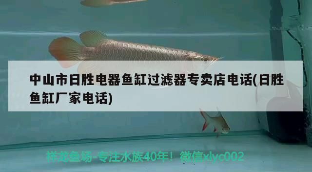 中山市日勝電器魚缸過濾器專賣店電話(日勝魚缸廠家電話) 中山市日勝電器魚缸過濾器專賣店電話(日勝魚缸廠家電話) iwish愛唯希品牌魚缸