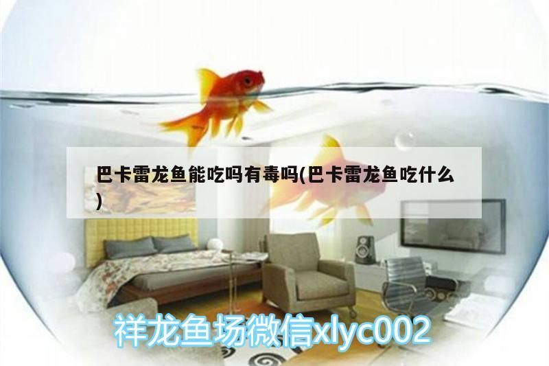 德江縣森森魚店