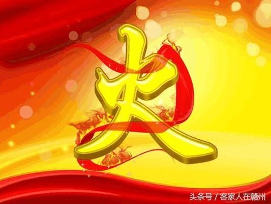 招財貓可以跟龍魚混養么：招財貓與龍魚，共居一室的奇妙緣分