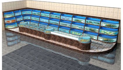 大型觀賞魚池設計效果圖（大型觀賞魚池設計效果圖大型觀賞魚池設計效果圖）