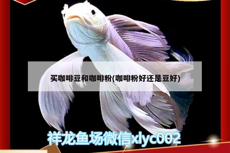 買咖啡豆和咖啡粉(咖啡粉好還是豆好)