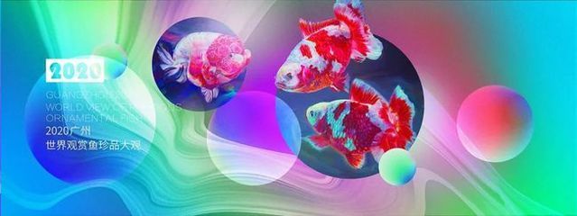 2024年廣州世界觀賞魚珍品大觀:2020年廣州世界觀賞魚珍品大觀開幕式時間和參觀時間 魚缸百科 第3張 2024年廣州世界觀賞魚珍品大觀:2020年廣州世界觀賞魚珍品大觀開幕式時間和參觀時間 2024年廣州世界觀賞魚珍品大觀:2020年廣州世界觀賞魚珍品大觀開幕式時間和參觀時間 魚缸百科 第3張