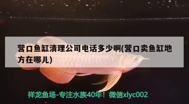 龍魚圖片高清大圖欣賞（關于龍魚的問題）