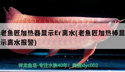 老魚匠加熱器顯示Er離水(老魚匠加熱棒顯示離水報警)