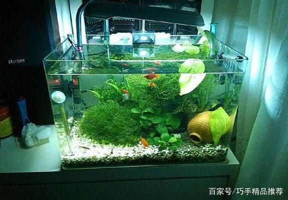 龍魚缸換水要加鹽嗎為什么，給龍魚缸換水時是否需要加鹽取決于多種因素