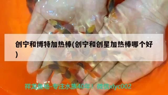 創寧和博特加熱棒(創寧和創星加熱棒哪個好)