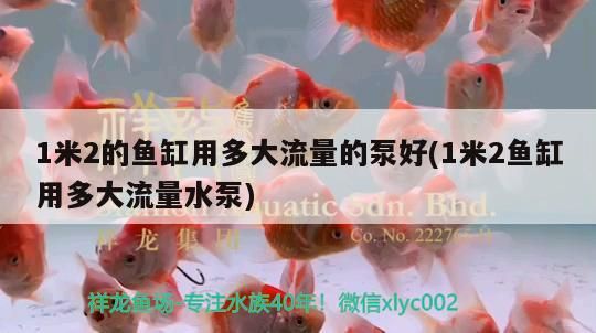 1米2的魚缸用多大流量的泵好(1米2魚缸用多大流量水泵)