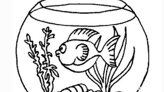 yee下過(guò)濾魚(yú)缸安裝視頻（下過(guò)濾魚(yú)缸怎么安裝）