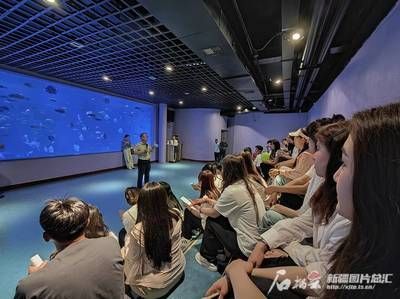 水族館面積（世界十大水族館排名更新水族館面積與生物多樣性之間的關系）
