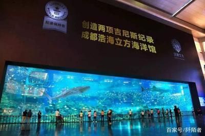 水族館面積（世界十大水族館排名更新水族館面積與生物多樣性之間的關系）