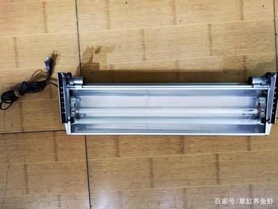 招財龍魚擺放位置圖：招財龍魚擺放位置的講究與奧秘