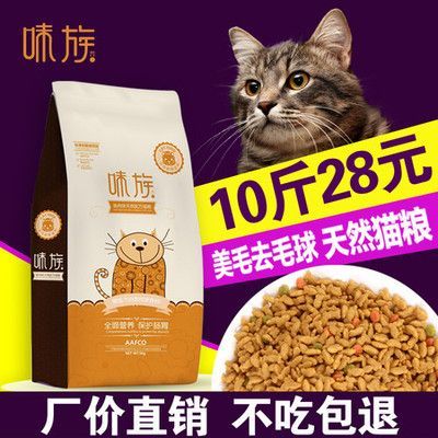 黃金貓魚專用飼料品牌推薦（黃金貓魚專用飼料品牌）