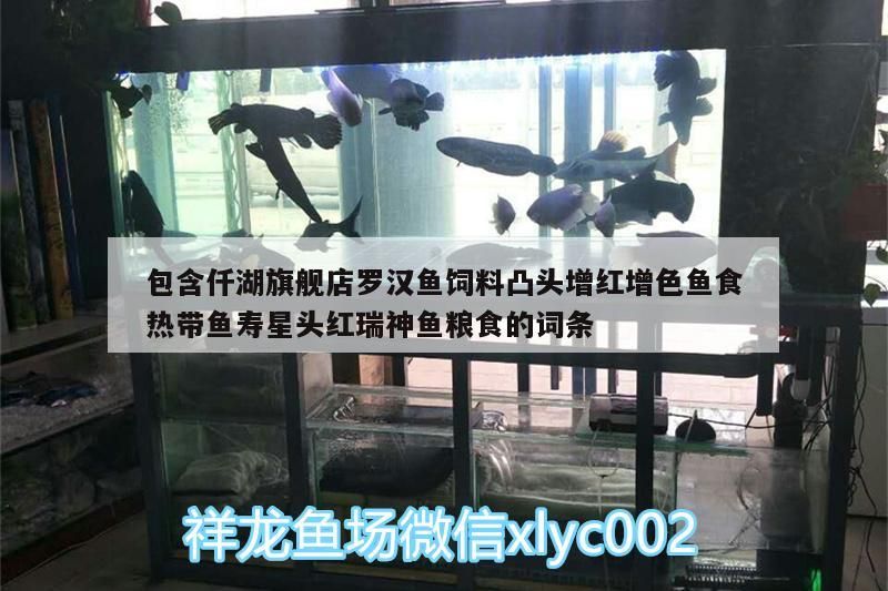 包含仟湖旗艦店羅漢魚飼料凸頭增紅增色魚食熱帶魚壽星頭紅瑞神魚糧食的詞條