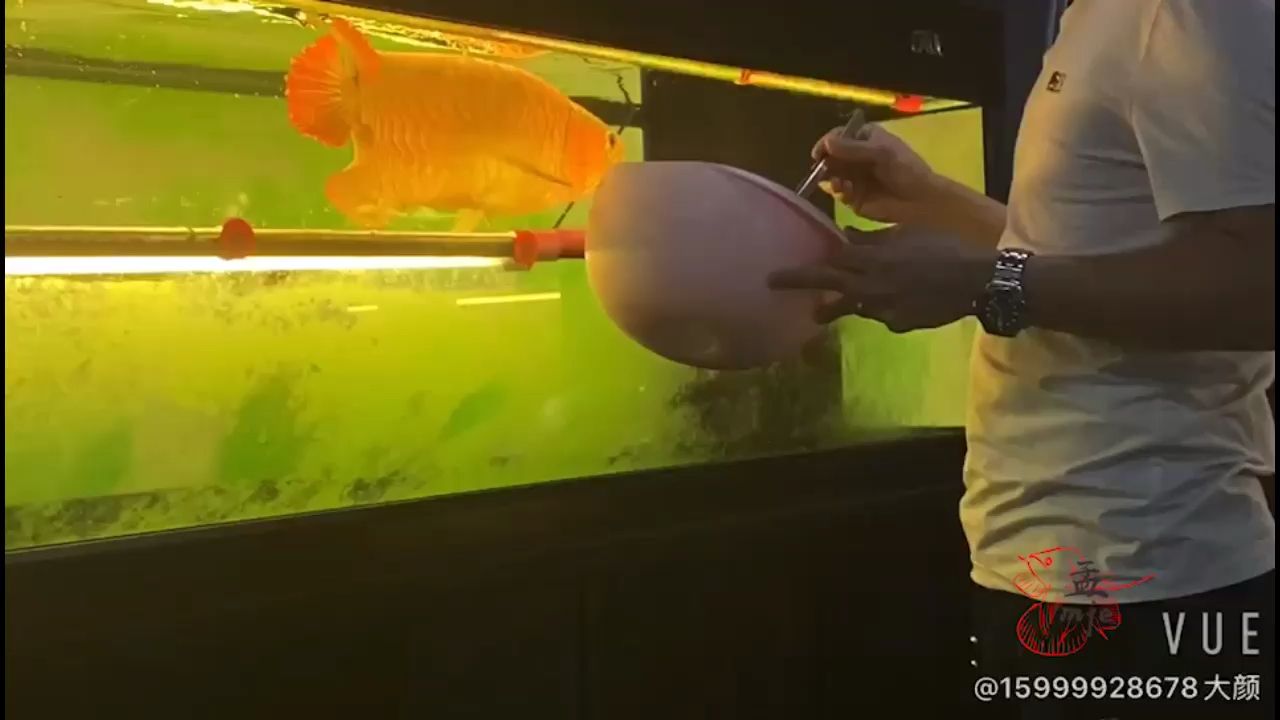 孟吉爾～萬吉加長版本80？+