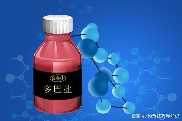 招財(cái)金龍魚多少錢一條圖片及價(jià)格大全：探秘招財(cái)金龍魚，價(jià)格背后的奧秘與選購指南