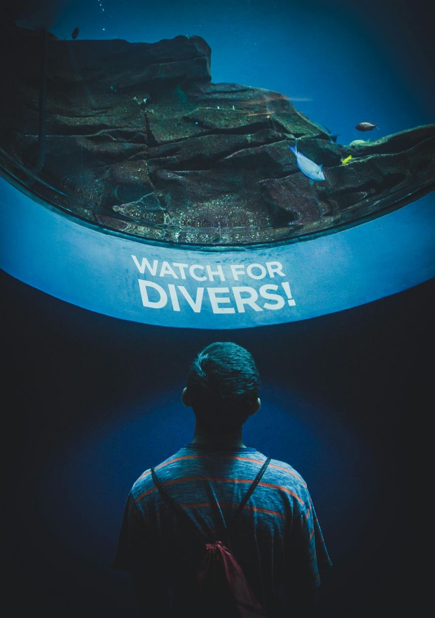 潮州水族批發市場在哪里進貨的呢 潮州觀賞魚批發市場