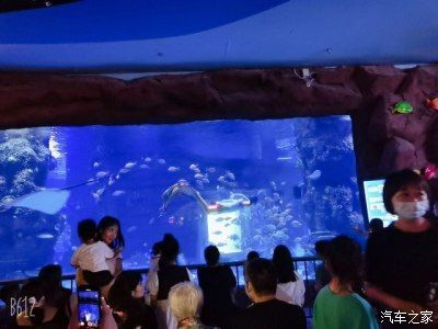 用戶反饋對水族館運營影響（用戶反饋對水族館的影響） 用戶反饋對水族館運營影響（用戶反饋對水族館的影響） 水族館百科（水族館加盟） 第2張