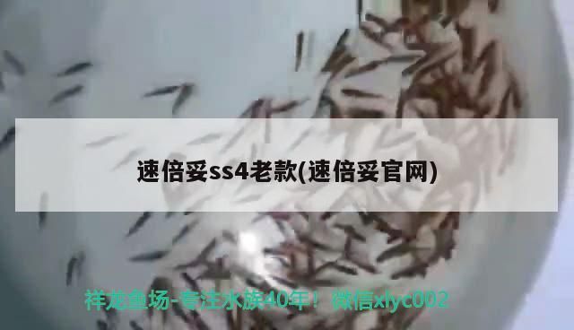 速倍妥ss4老款(速倍妥官網)