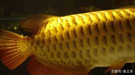 光特億帝光（光特億帝光二代怎么樣）