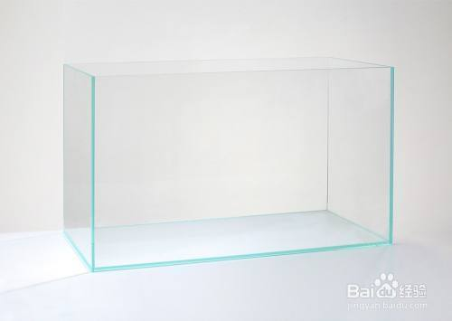 紅鯉魚魚缸可以養么（紅鯉魚在魚缸里能養多大）