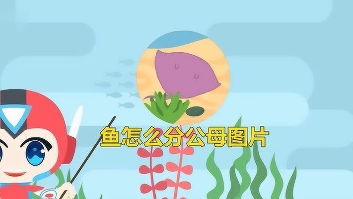 龍魚首飾vs祥龍魚場：“龍魚首飾”與“祥龍魚場”之間的區別