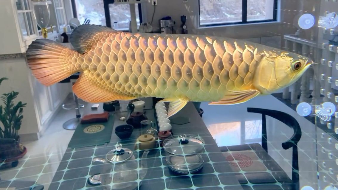 鞍山市經濟開發區興悅海園水族店