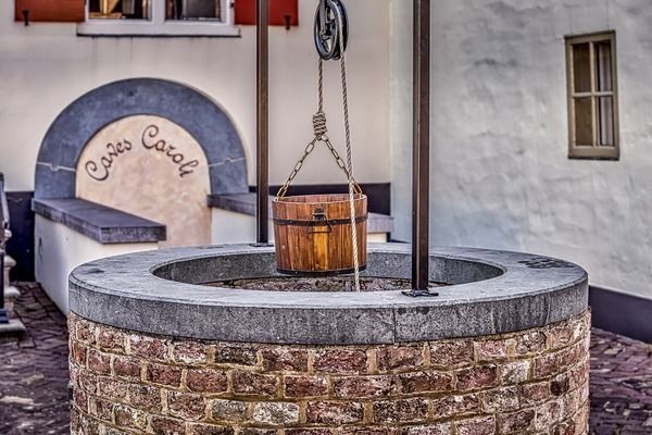 祥龍魚場在中國有哪些代理？，成都祥龍水族館