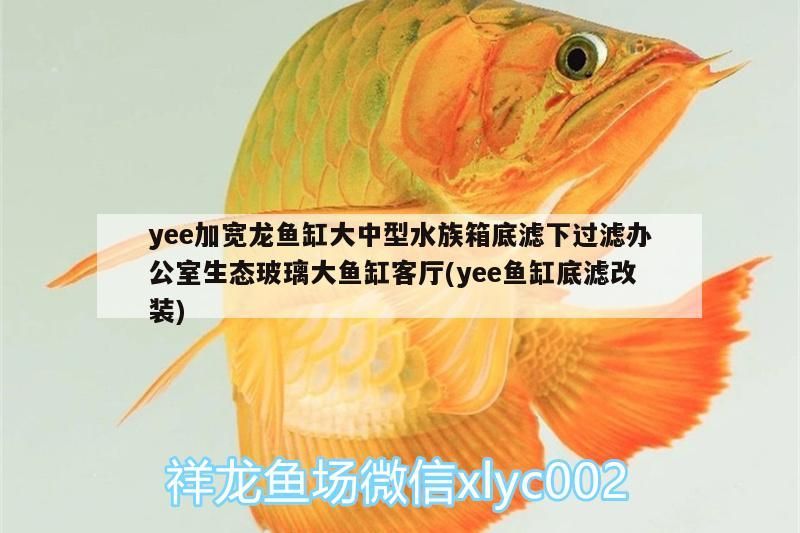 yee加寬龍魚缸大中型水族箱底濾下過濾辦公室生態(tài)玻璃大魚缸客廳(yee魚缸底濾改裝)