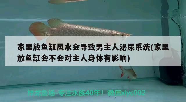 魚缸過濾系統圖解設計圖紙（ 魚缸過濾器設計圖）