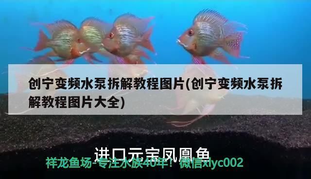 創寧變頻水泵拆解教程圖片(創寧變頻水泵拆解教程圖片大全)