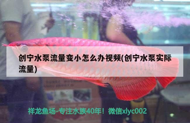 祥龍魚場在中國有哪些代理？，成都祥龍水族館