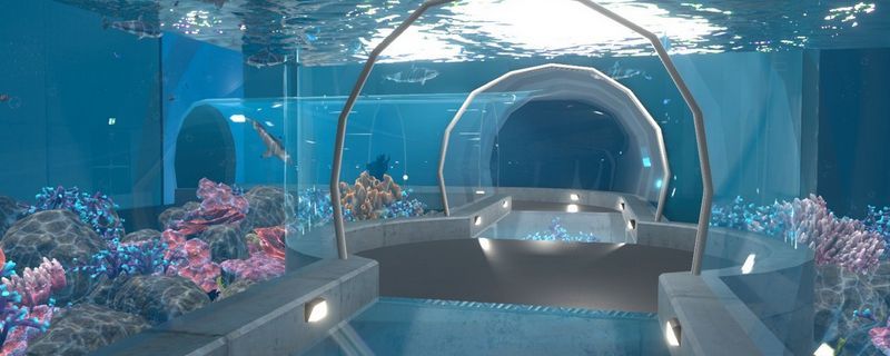 水族館有什么：上海水族館特色展區(qū)介紹