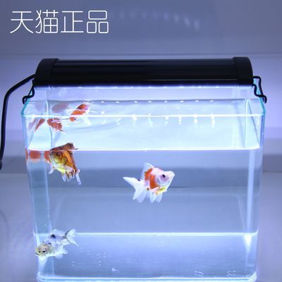 創(chuàng)寧水族代理：創(chuàng)寧水族用品有限公司91371581ma945ccn1m 創(chuàng)寧水族代理：創(chuàng)寧水族用品有限公司91371581ma945ccn1m 創(chuàng)寧水族 第3張