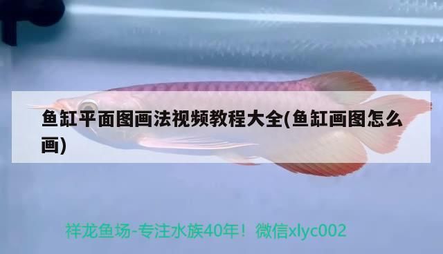魚缸平面圖畫法視頻教程大全(魚缸畫圖怎么畫)