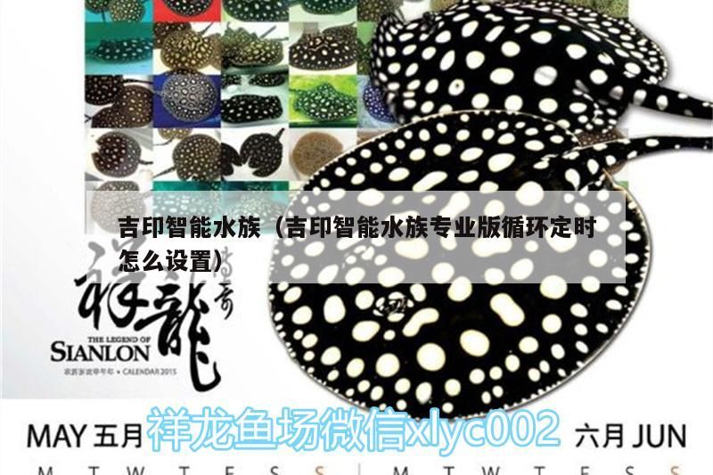 吉印智能水族（吉印智能水族專業版循環定時怎么設置）