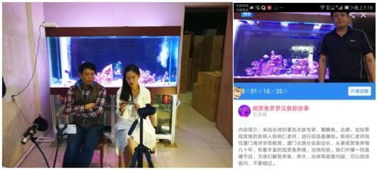 觀賞魚直播間直播策劃怎么做（觀賞魚直播策劃方案：直播帶貨的心理學(xué)直播帶貨的應(yīng)用）