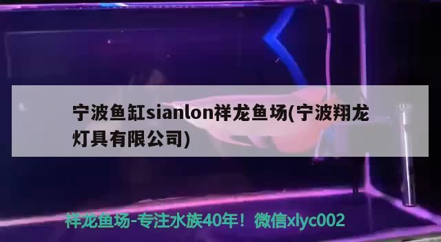 寧波魚缸sianlon祥龍魚場(寧波翔龍燈具有限公司)