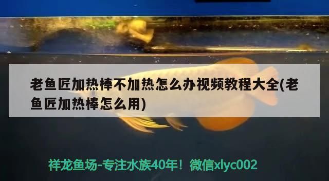 老魚匠加熱棒不加熱怎么辦視頻教程大全(老魚匠加熱棒怎么用)