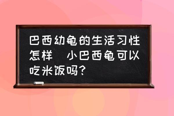 長春市金龍魚經(jīng)銷商地址電話：探尋長春市金龍魚經(jīng)銷商地址，品質之選的溯源之旅