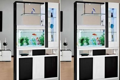 彩虹雷龍趴缸怎么辦(彩虹雷龍一直趴在缸底咋回事)