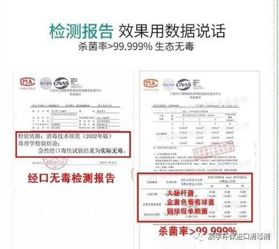 招財樹放在家里什么地方最好？風水布局全解析