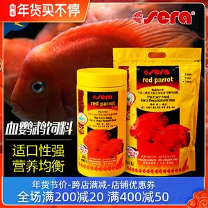招財(cái)貓魚(yú)的壽命，如何讓你的幸運(yùn)魚(yú)長(zhǎng)久陪伴